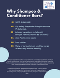 Shampoo Bar- Lavender